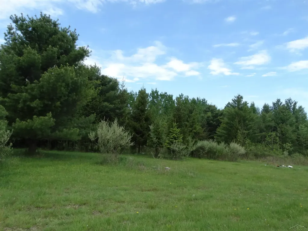 350 Fire Road Arenac Township MI 48766