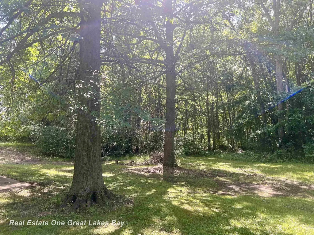 1275 Ruby Ann Drive Spaulding Township MI 48601