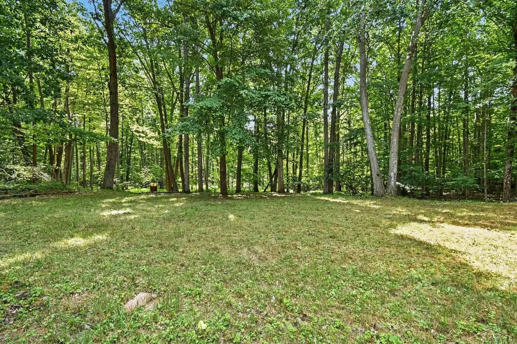 7083 S Orr Road St. Charles Village MI 48655