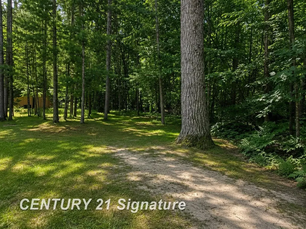 2625 W Nestel Road Unknown City MI 48651