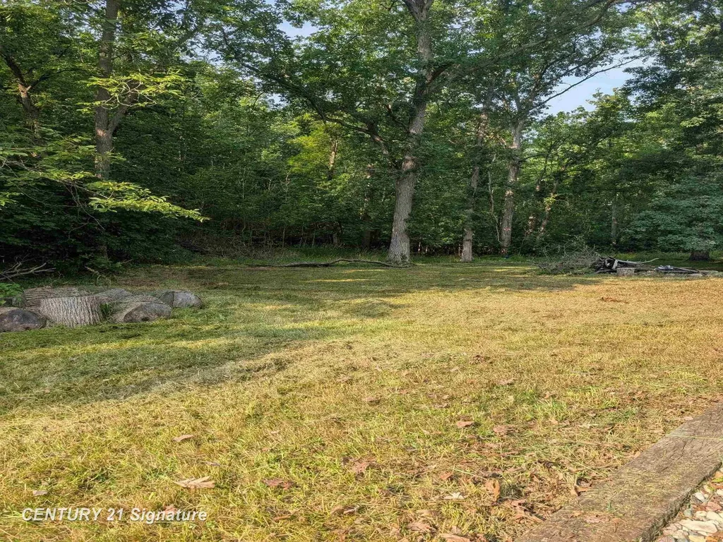 1921 Ann Street Albee Township MI 48417