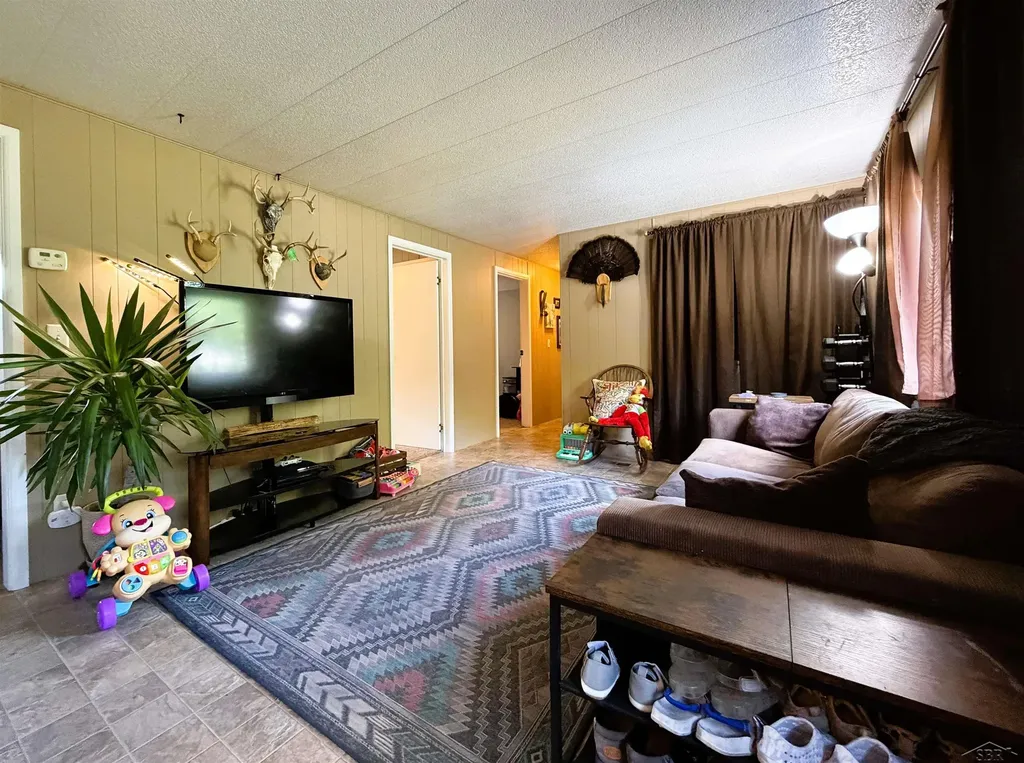 325 S Main Street Chesaning Village MI 48616