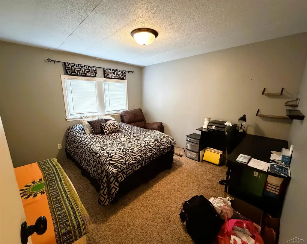 325 S Main Street Chesaning Village MI 48616