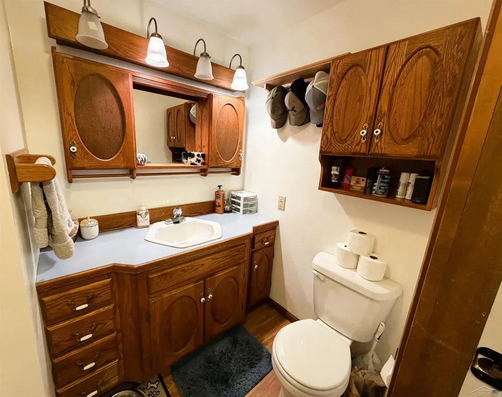325 S Main Street Chesaning Village MI 48616
