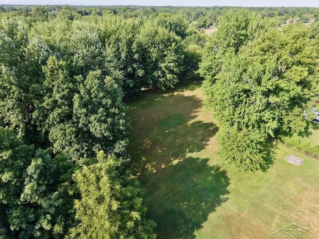 325 S Main Street Chesaning Village MI 48616