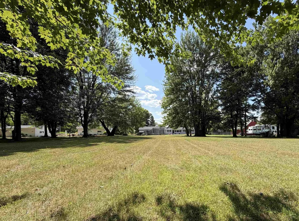 325 S Main Street Chesaning Village MI 48616
