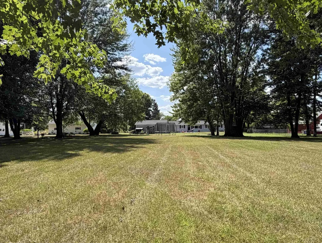 325 S Main Street Chesaning Village MI 48616