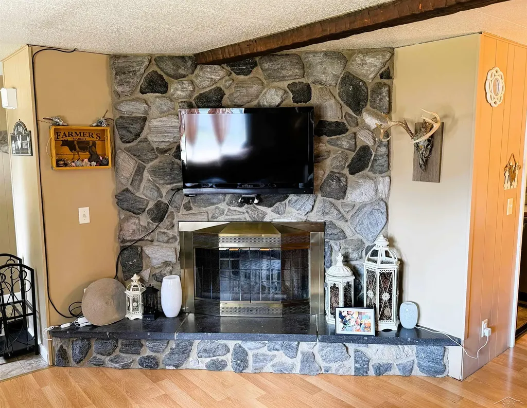 325 S Main Street Chesaning Village MI 48616