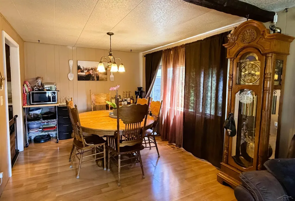 325 S Main Street Chesaning Village MI 48616