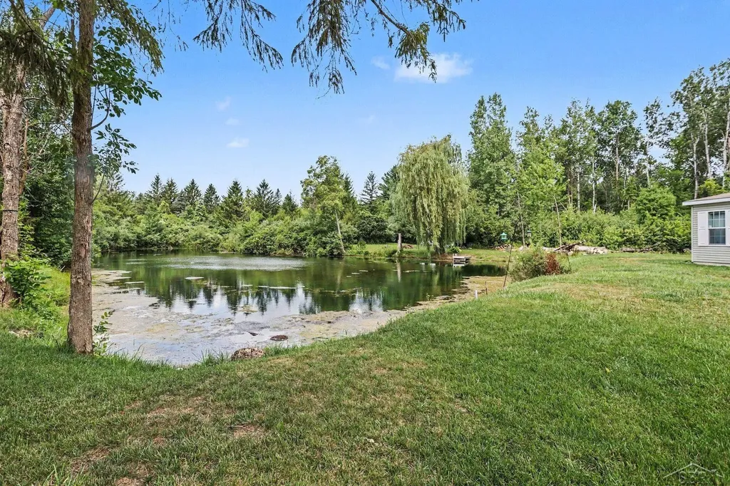 130 W Bradford Road Lee Township MI 48640