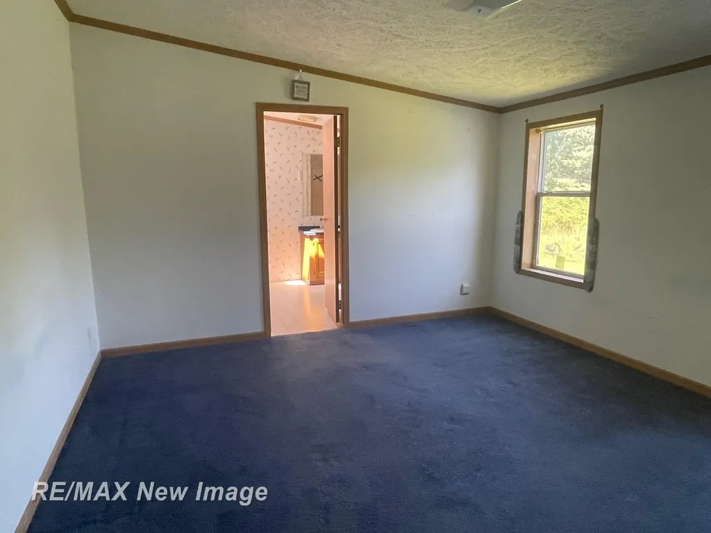 15957 W Burt Road Brant Township MI 48616