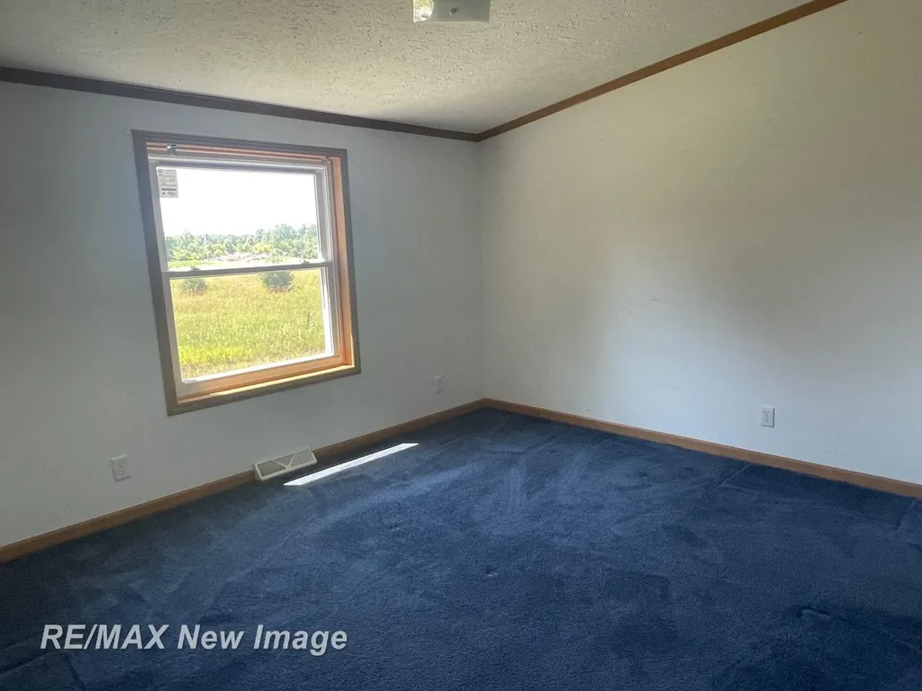 15957 W Burt Road Brant Township MI 48616