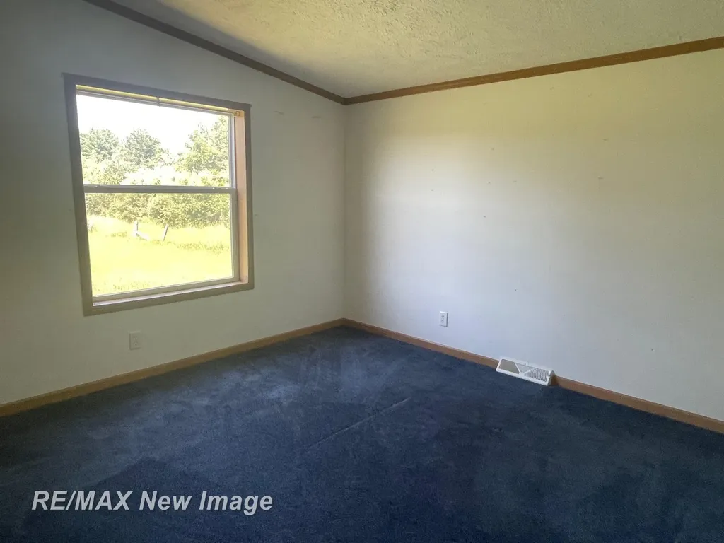 15957 W Burt Road Brant Township MI 48616