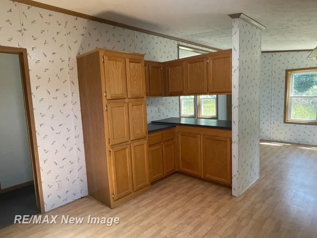 15957 W Burt Road Brant Township MI 48616