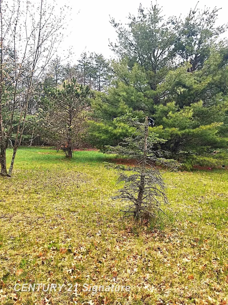 5124 Highland Trail Roscommon Township MI 48629