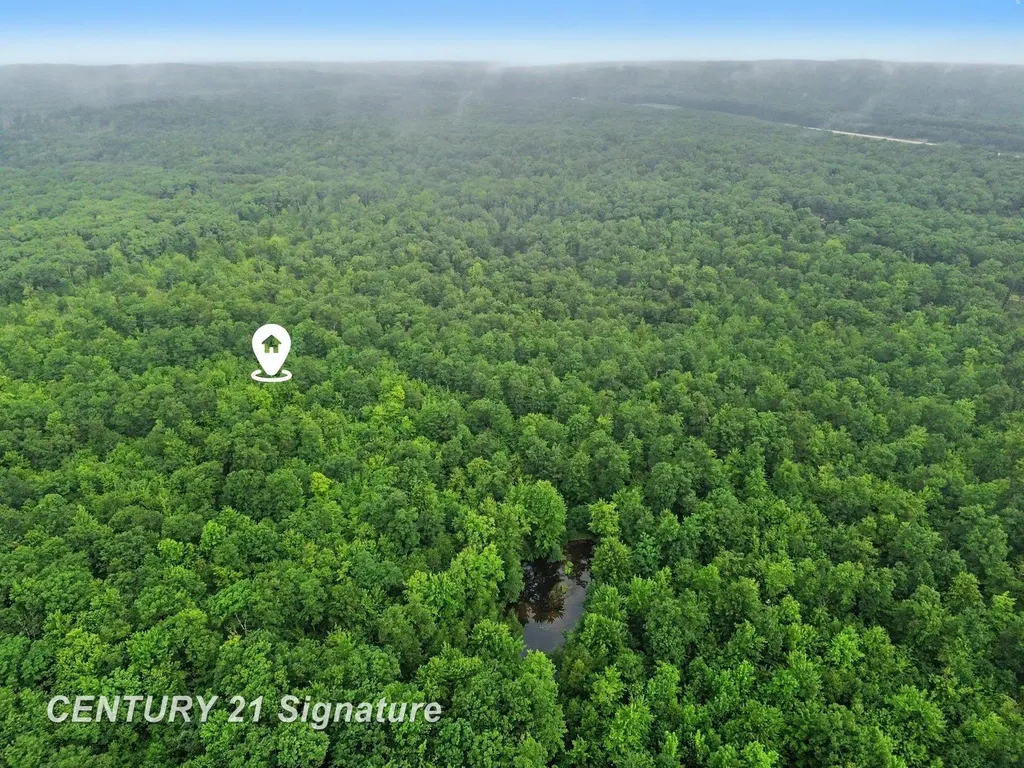 Richard Drive Ogemaw Township MI 48661