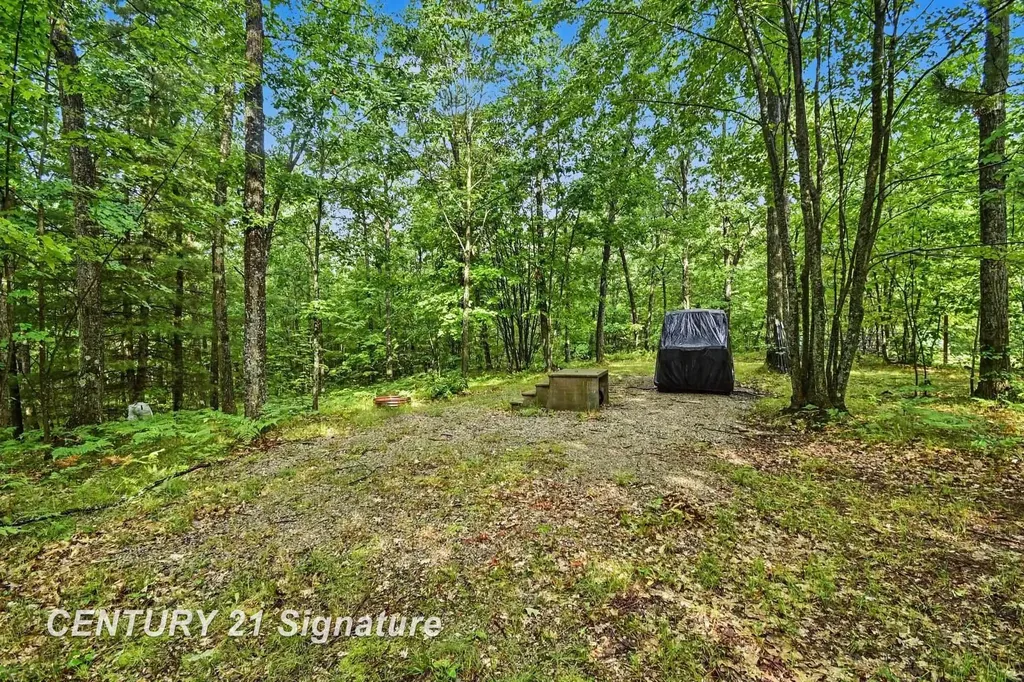 Richard Drive Ogemaw Township MI 48661