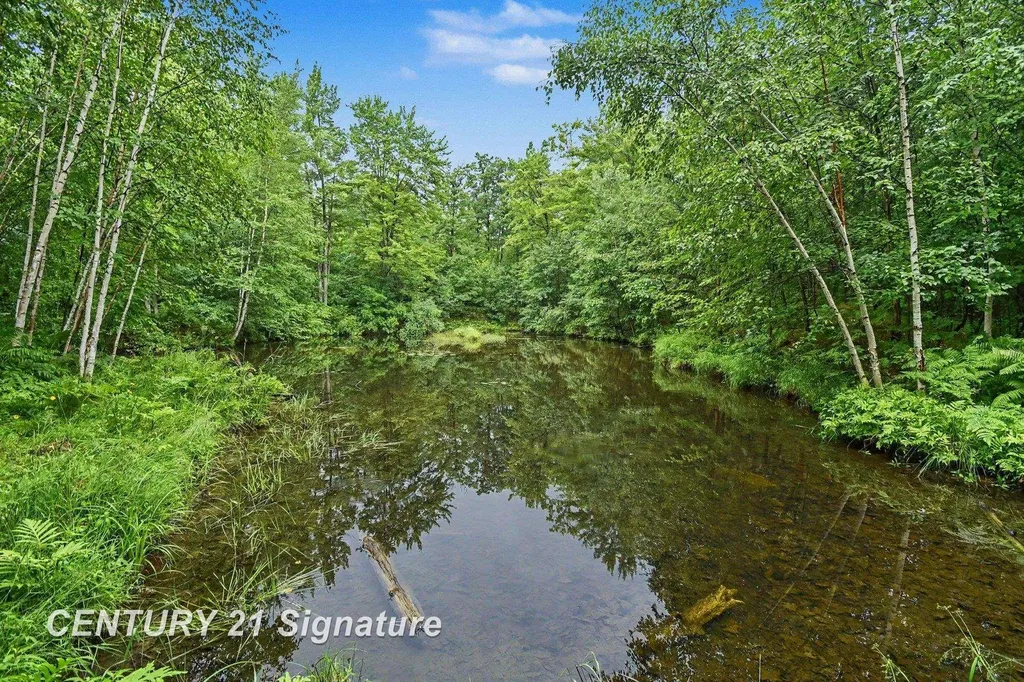 Richard Drive Ogemaw Township MI 48661
