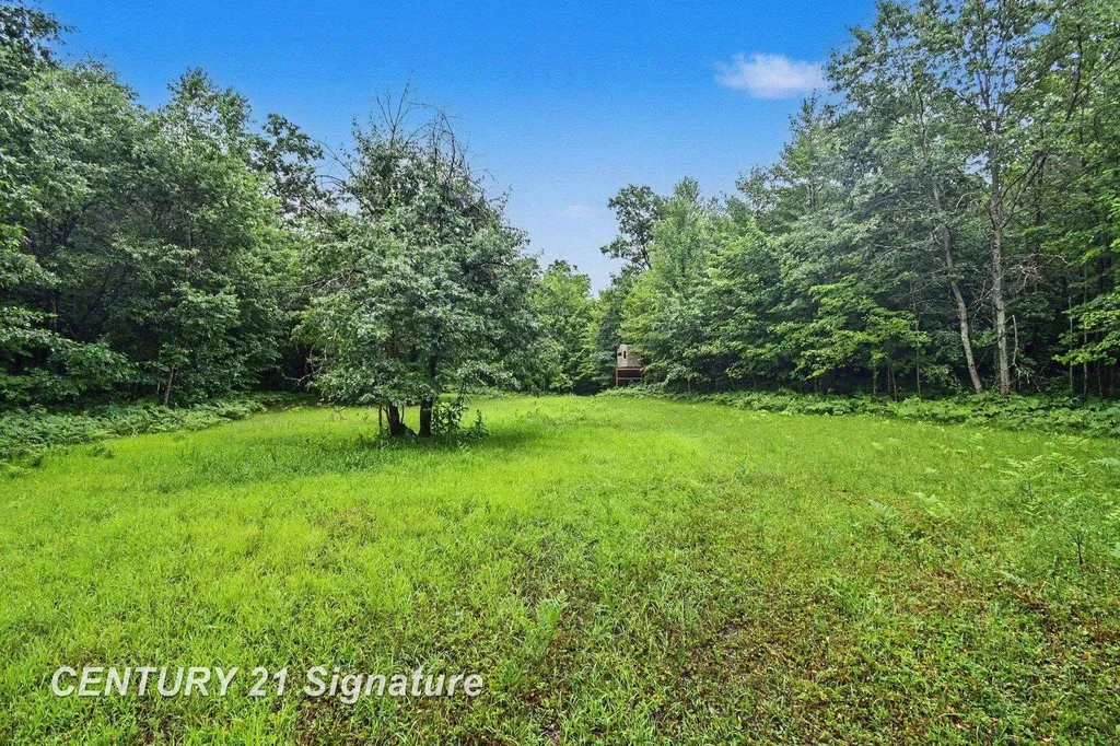 Richard Drive Ogemaw Township MI 48661