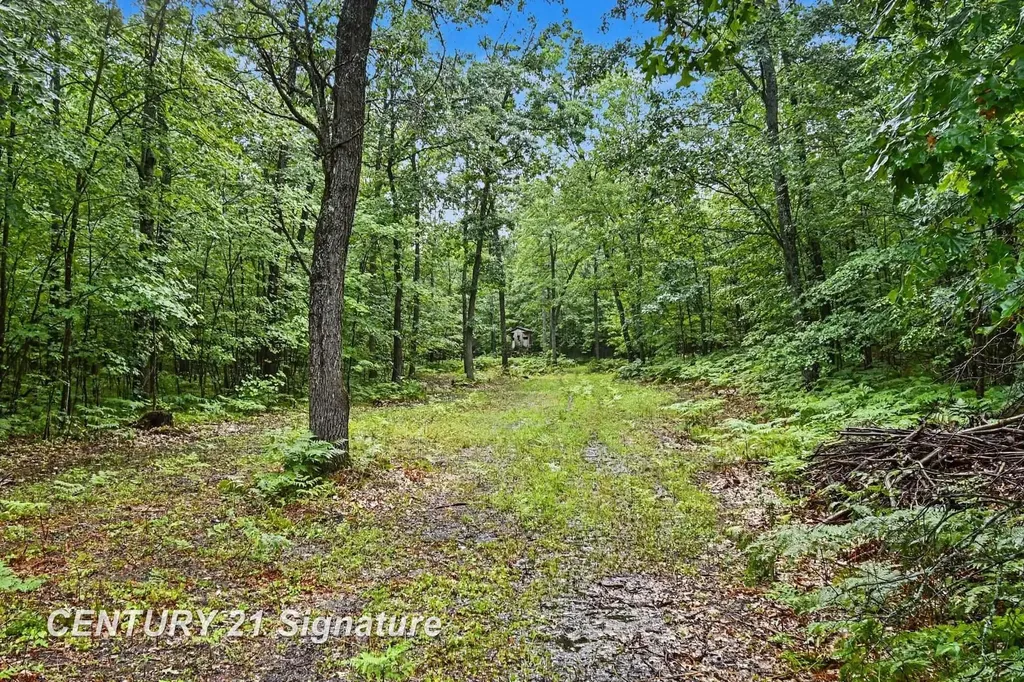 Richard Drive Ogemaw Township MI 48661
