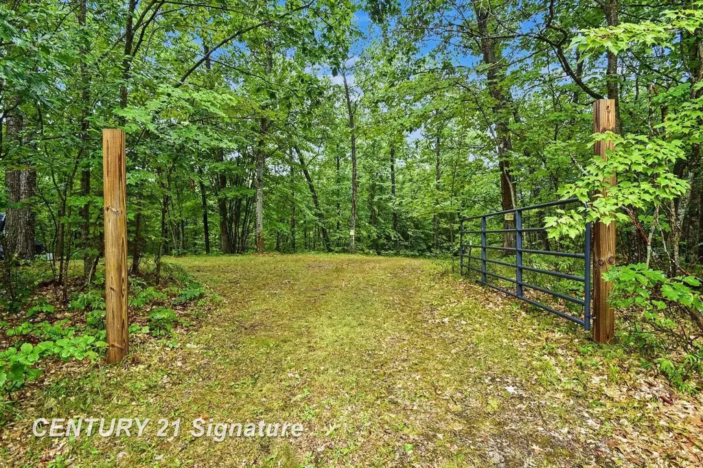 Richard Drive Ogemaw Township MI 48661