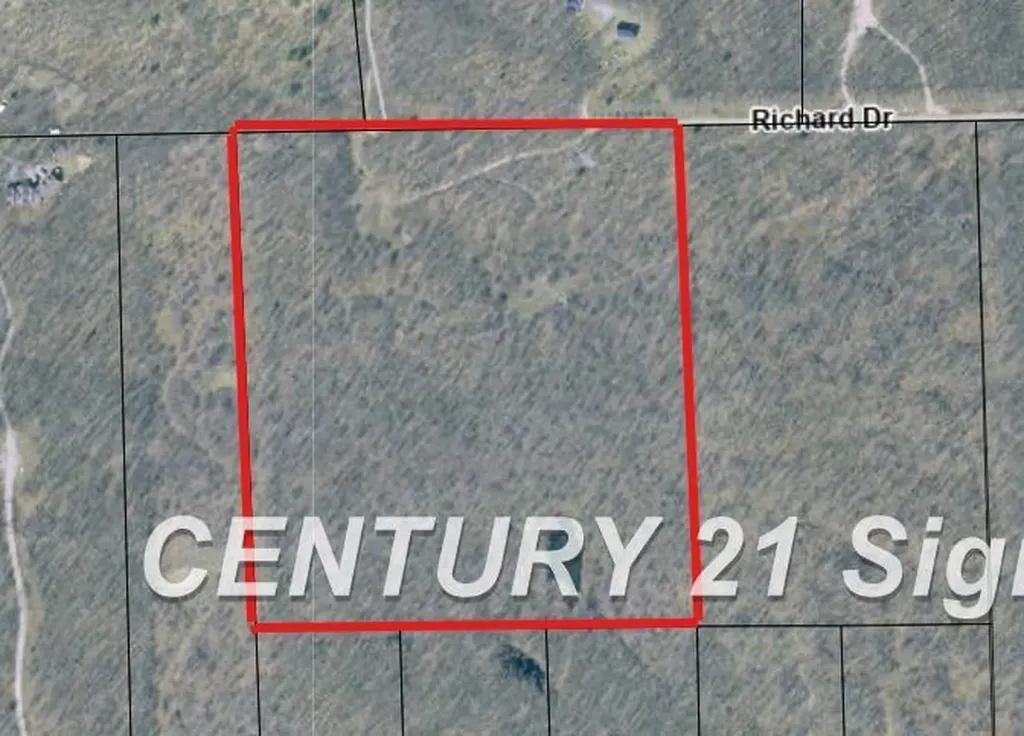 Richard Drive Ogemaw Township MI 48661