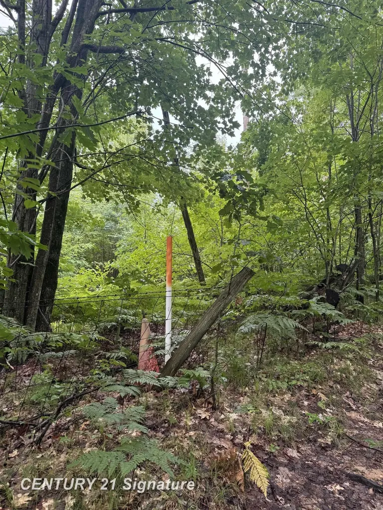 Richard Drive Ogemaw Township MI 48661