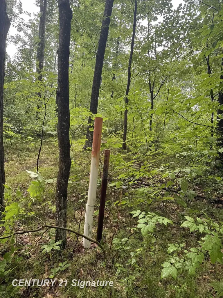 Richard Drive Ogemaw Township MI 48661