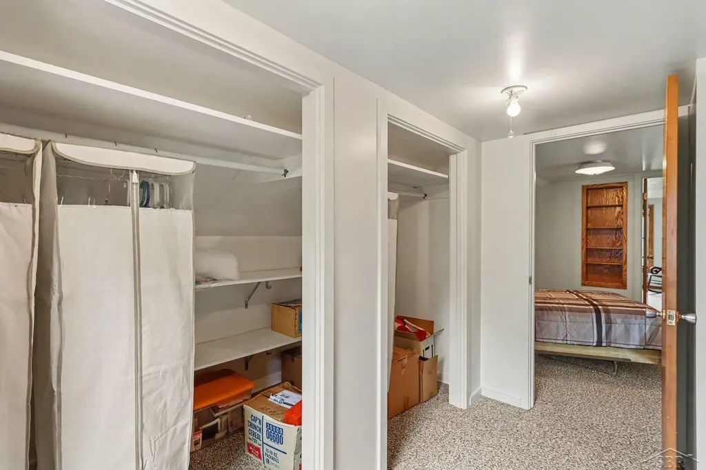 9743 Sanilac Road Denmark Township MI 48734