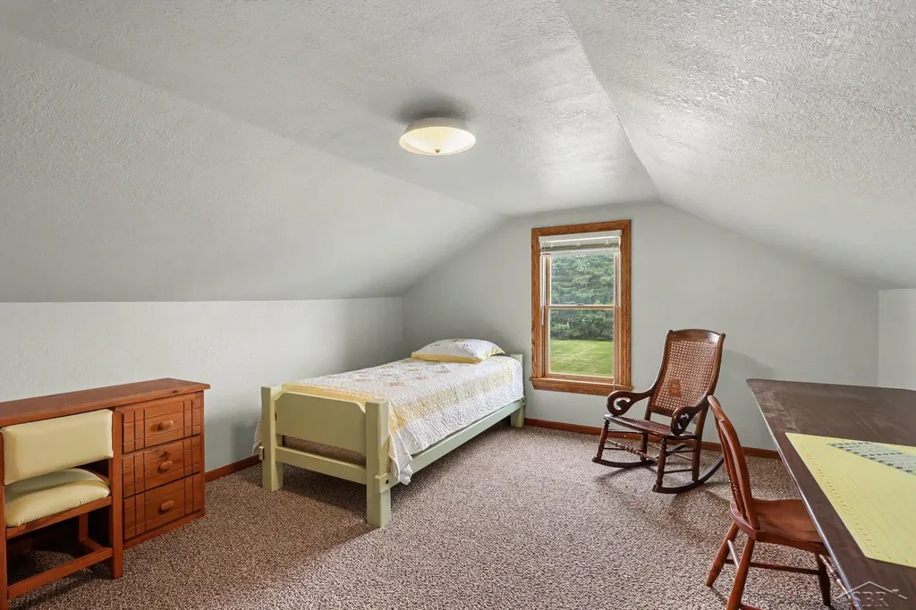 9743 Sanilac Road Denmark Township MI 48734