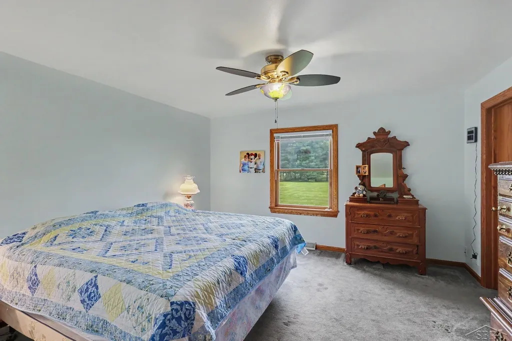 9743 Sanilac Road Denmark Township MI 48734