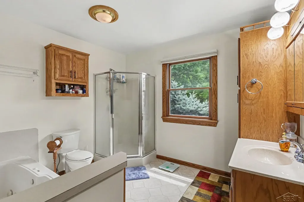 9743 Sanilac Road Denmark Township MI 48734