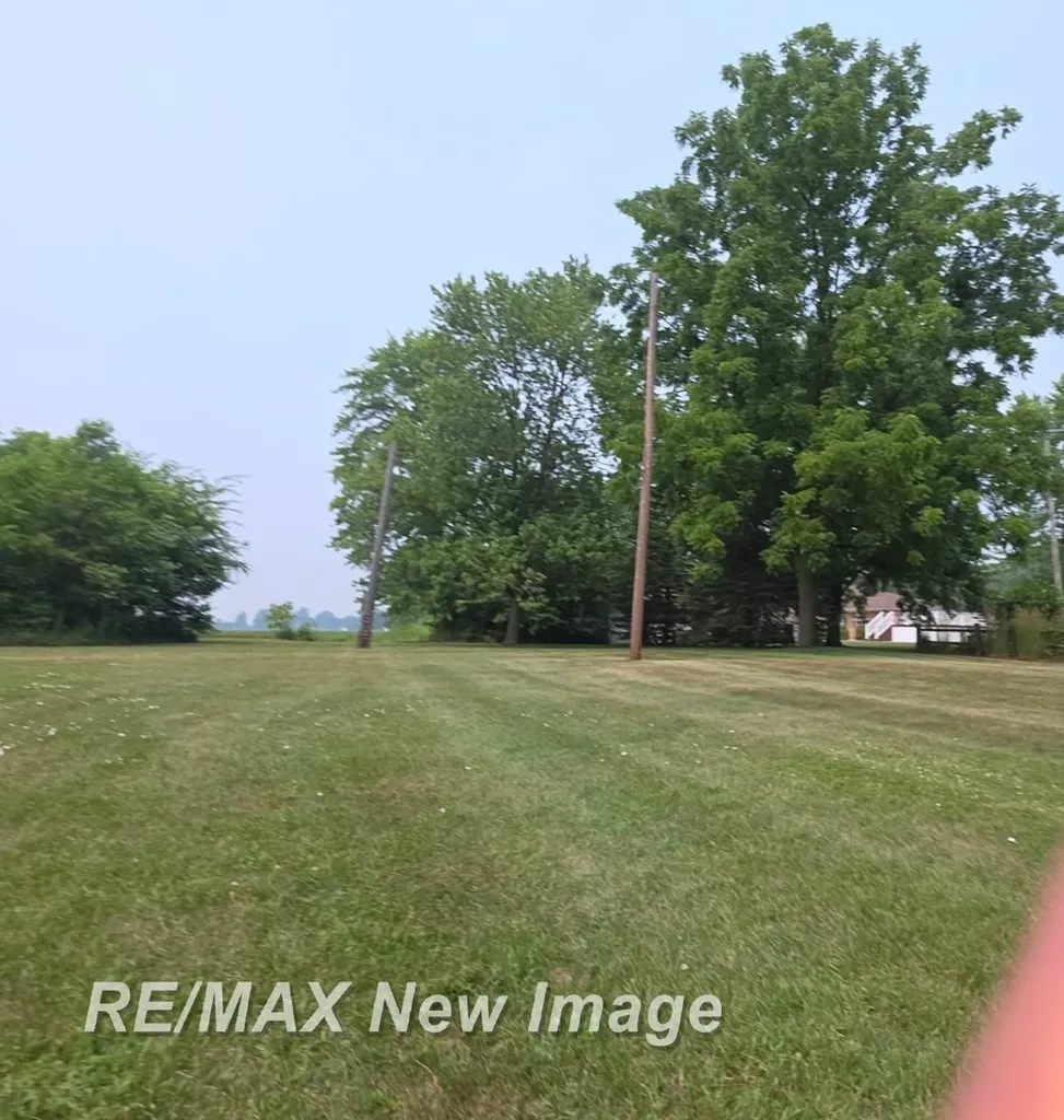 Vl Meridian Street Reese Village MI 48757