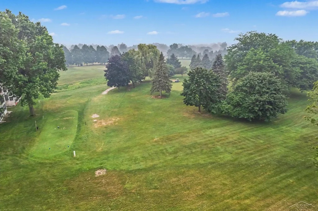 9035 Greenway Boulevard Thomas Township MI 48609