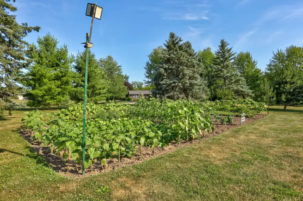 1090 N Block Road Blumfield Township MI 48757