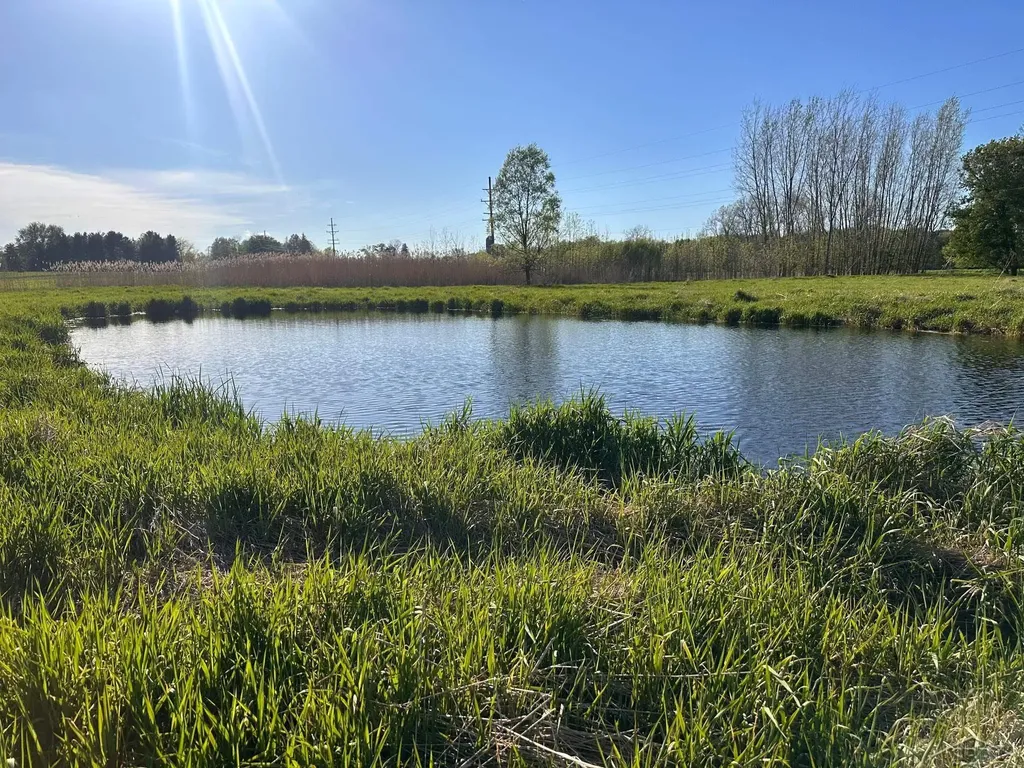 9999 Barnes Road Rich Township MI 48744