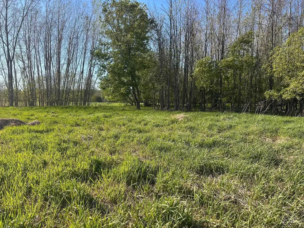 9999 Barnes Road Rich Township MI 48744