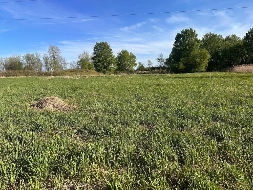 9999 Barnes Road Rich Township MI 48744