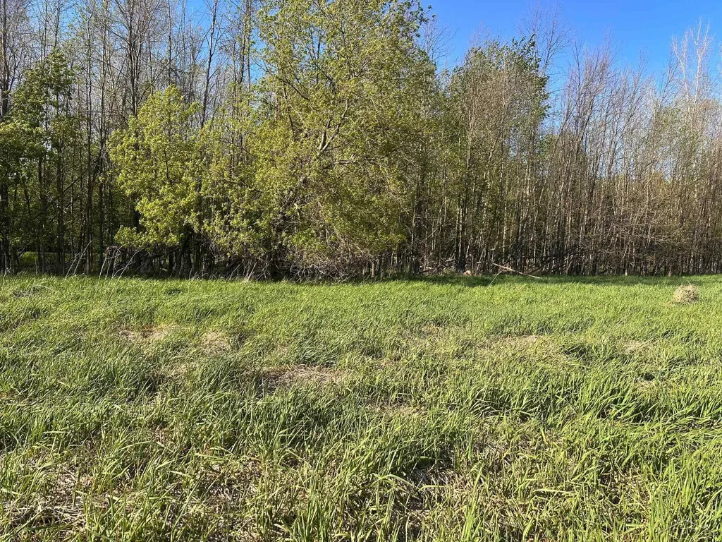 9999 Barnes Road Rich Township MI 48744