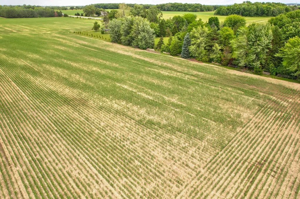 Vl Bradley Road Blumfield Township MI 48734