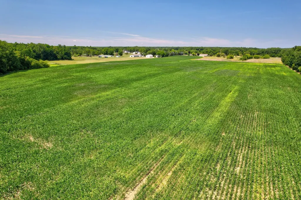 Vl Curtis Road Frankenmuth Township MI 48734