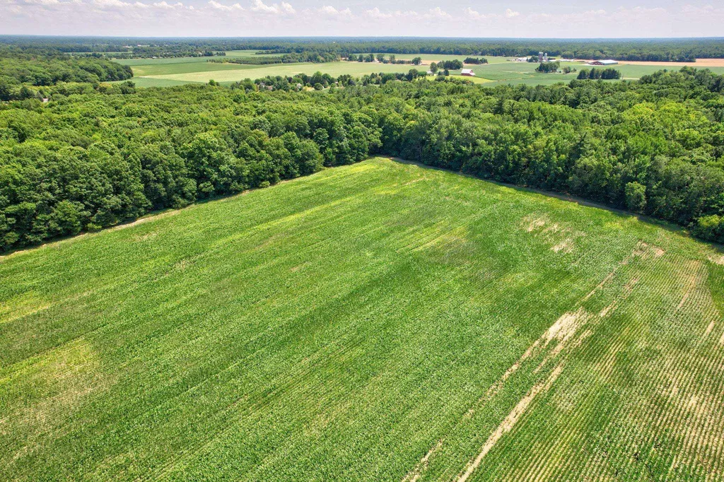 Vl Curtis Road Frankenmuth Township MI 48734