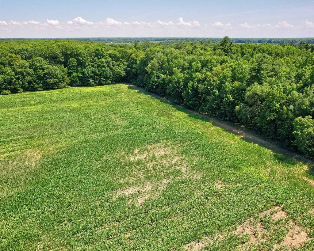 Vl Curtis Road Frankenmuth Township MI 48734