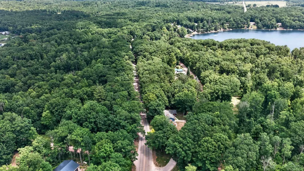 4350 E Arnold Lake Road Frost Township MI 48625
