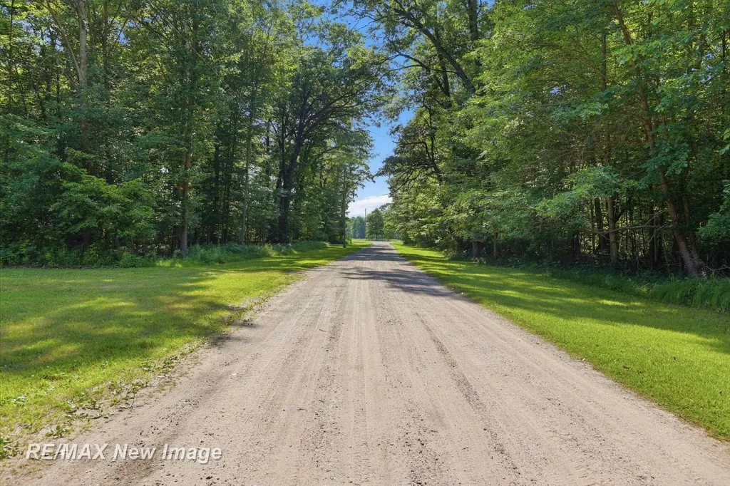 133 S Magruder Road Greendale Township MI 48883