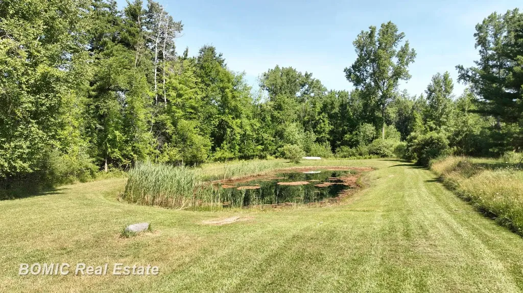 3865 Mushroom Road Wells Township MI 48723