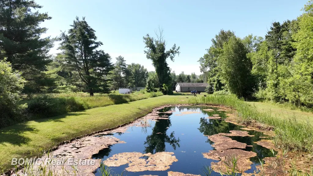 3865 Mushroom Road Wells Township MI 48723