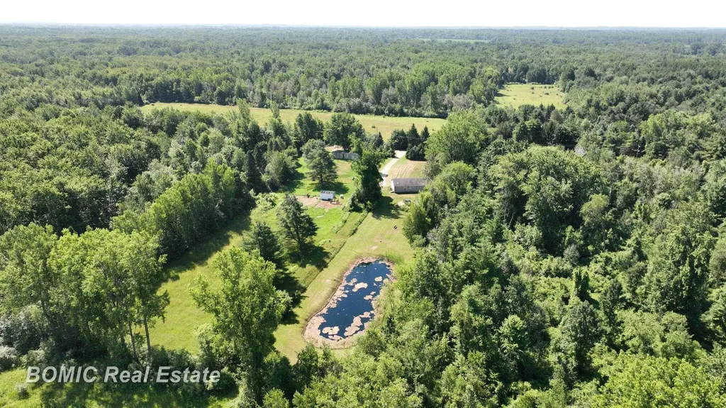 3865 Mushroom Road Wells Township MI 48723