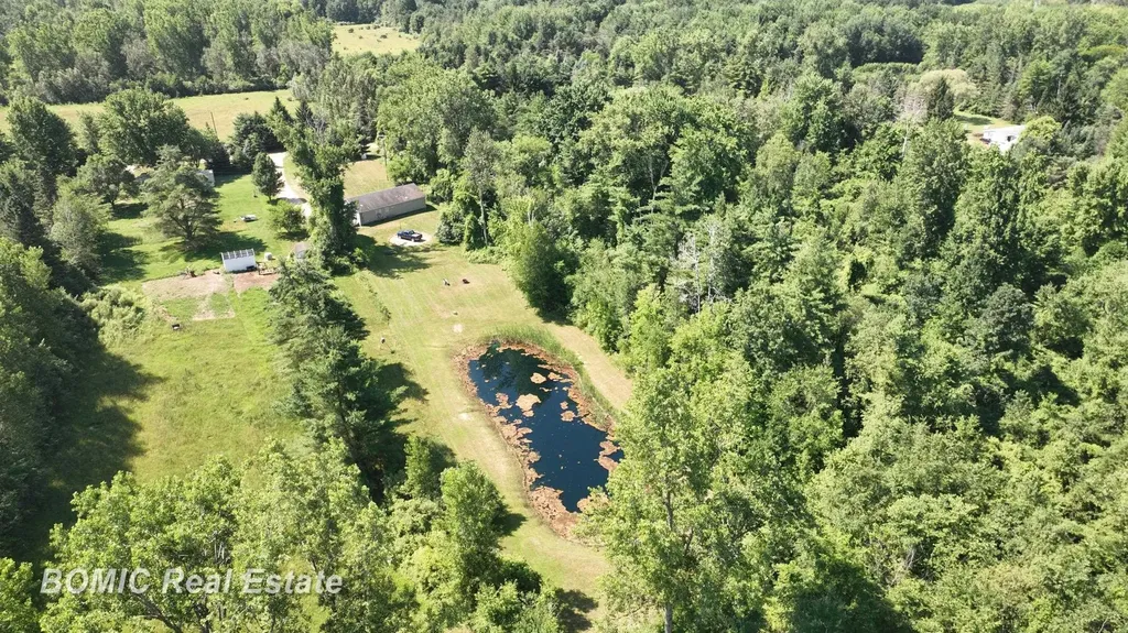3865 Mushroom Road Wells Township MI 48723