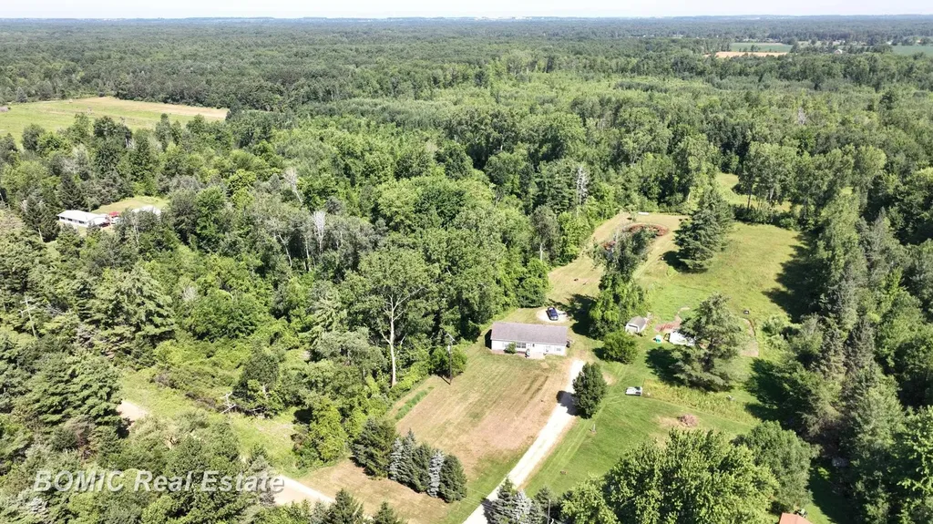 3865 Mushroom Road Wells Township MI 48723